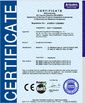 China Shenzhen Easythreed Technology Co., Ltd. Certificações